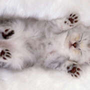 ヒメ日記 2026/01/14 11:40 投稿 西村 鶯谷ワンハート