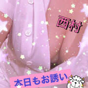 ヒメ日記 2026/02/11 13:49 投稿 西村 鶯谷ワンハート