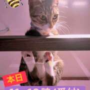 ヒメ日記 2026/02/22 10:44 投稿 西村 鶯谷ワンハート