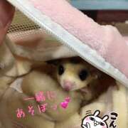 ヒメ日記 2026/08/26 13:51 投稿 西村 鶯谷ワンハート