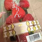 ヒメ日記 2025/04/01 15:49 投稿 早乙女あん ウルトラハピネス