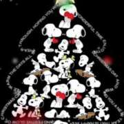 ヒメ日記 2024/12/24 19:45 投稿 ゆの 待ちナビ