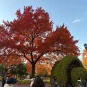 ヒメ日記 2024/12/28 00:05 投稿 ゆの 待ちナビ