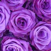 ヒメ日記 2025/01/12 01:35 投稿 ゆの 待ちナビ