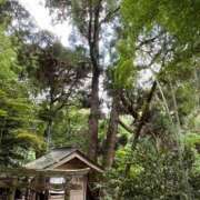 ヒメ日記 2025/04/04 00:35 投稿 ゆの 待ちナビ