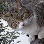 ヒメ日記 2025/04/11 23:45 投稿 ゆの 待ちナビ