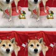 ヒメ日記 2025/04/16 01:05 投稿 ゆの 待ちナビ