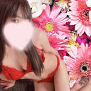 ヒメ日記 2025/04/11 10:53 投稿 まどか 若妻淫乱倶楽部