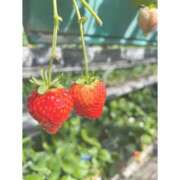 ヒメ日記 2026/02/10 17:52 投稿 ひな スピードエコ難波店