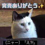 ヒメ日記 2025/11/22 00:39 投稿 さきえ 若妻淫乱倶楽部