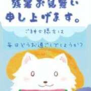 まおり 7月月末スケジュール最後の出勤！！ 熟女家 堺東店