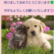 ヒメ日記 2025/01/05 14:25 投稿 こころ 完熟ばなな八王子