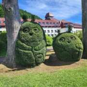 ヒメ日記 2025/09/27 23:49 投稿 こころ 完熟ばなな八王子