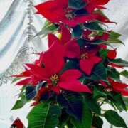 ヒメ日記 2025/11/30 12:49 投稿 こころ 完熟ばなな八王子