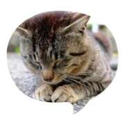 ヒメ日記 2025/12/06 00:59 投稿 こころ 完熟ばなな八王子