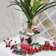 こころ ありがとうございました(*^^*) 完熟ばなな八王子