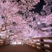 ヒメ日記 2026/03/23 01:39 投稿 こころ 完熟ばなな八王子