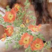 ヒメ日記 2024/12/22 13:42 投稿 浅香【あさか】 丸妻 西船橋店