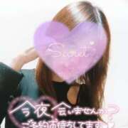 ヒメ日記 2025/01/22 15:14 投稿 浅香【あさか】 丸妻 西船橋店