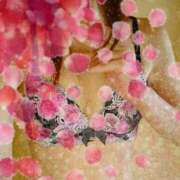 ヒメ日記 2025/01/23 18:23 投稿 浅香【あさか】 丸妻 西船橋店