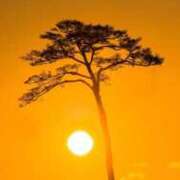 ヒメ日記 2025/03/11 14:46 投稿 浅香【あさか】 丸妻 西船橋店