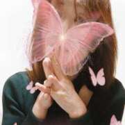 ヒメ日記 2025/03/31 12:45 投稿 浅香【あさか】 丸妻 西船橋店