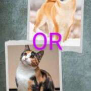 ヒメ日記 2025/07/23 11:28 投稿 浅香【あさか】 丸妻 西船橋店