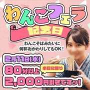 ヒメ日記 2026/02/11 12:21 投稿 浅香【あさか】 丸妻 西船橋店