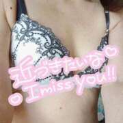 ヒメ日記 2026/02/24 17:51 投稿 浅香【あさか】 丸妻 西船橋店