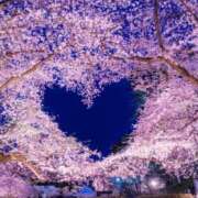 ヒメ日記 2026/03/17 18:17 投稿 浅香【あさか】 丸妻 西船橋店