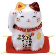 ヒメ日記 2026/03/28 20:47 投稿 浅香【あさか】 丸妻 西船橋店