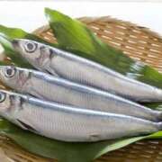 ヒメ日記 2026/04/29 21:15 投稿 浅香【あさか】 丸妻 西船橋店