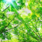 ヒメ日記 2026/05/31 15:33 投稿 浅香【あさか】 丸妻 西船橋店