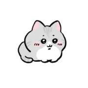 ヒメ日記 2025/06/12 13:29 投稿 あいな 西川口マーメイド