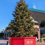 あいり あいり(･∀･)メリークリスマスぅ ミラクル☆ハニー