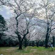 ヒメ日記 2026/03/29 11:53 投稿 あいり ミラクル☆ハニー