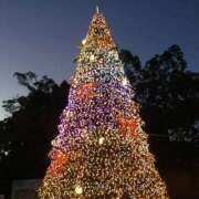 ヒメ日記 2025/12/12 09:40 投稿 まり WHITE ROSE～ホワイトローズ～