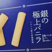 ヒメ日記 2026/01/20 09:40 投稿 まり WHITE ROSE～ホワイトローズ～