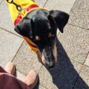 ヒメ日記 2026/01/28 10:05 投稿 まり WHITE ROSE～ホワイトローズ～