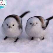 ヒメ日記 2026/02/08 09:56 投稿 まり WHITE ROSE～ホワイトローズ～