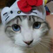 ヒメ日記 2026/02/11 09:49 投稿 まり WHITE ROSE～ホワイトローズ～