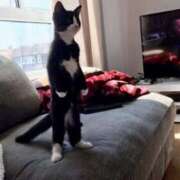 ヒメ日記 2026/02/20 08:01 投稿 まり WHITE ROSE～ホワイトローズ～