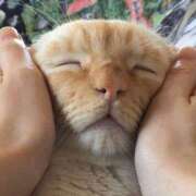 ヒメ日記 2026/02/22 09:25 投稿 まり WHITE ROSE～ホワイトローズ～