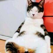 ヒメ日記 2026/04/08 09:33 投稿 まり WHITE ROSE～ホワイトローズ～