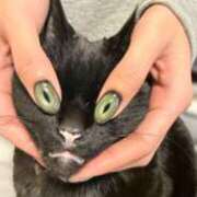 ヒメ日記 2026/04/12 09:28 投稿 まり WHITE ROSE～ホワイトローズ～