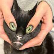 ヒメ日記 2026/04/15 09:22 投稿 まり WHITE ROSE～ホワイトローズ～