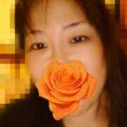 ヒメ日記 2026/02/19 10:53 投稿 るみ WHITE ROSE～ホワイトローズ～