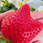 ヒメ日記 2025/01/24 19:22 投稿 ももこ WHITE ROSE～ホワイトローズ～