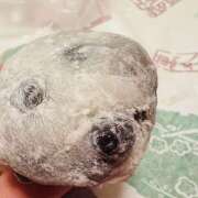 ヒメ日記 2025/03/31 15:49 投稿 ももこ WHITE ROSE～ホワイトローズ～