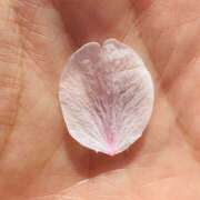 ヒメ日記 2025/04/07 09:36 投稿 ももこ WHITE ROSE～ホワイトローズ～